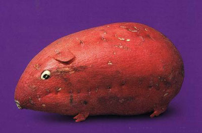 Ω��ΩФ�Ą����߲�����