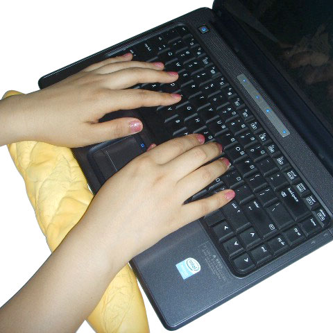 �n��(gu��)�����L(zh��ng)����I�P�o(h��)��