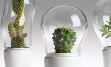 ������Ц����ѝ�ӵ�����