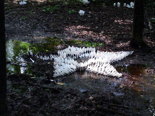 һ���Բ;�ƴ���e��ˇ�g