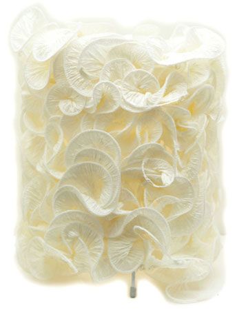 �Ҿ��OӋ�г��ÿ����������