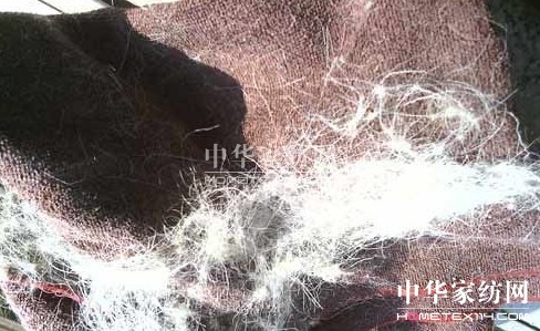 �t��ʿ�Ҽ��|���T����Σ�