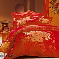 ϲ������