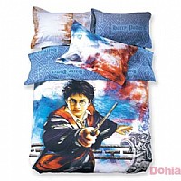 ħ������