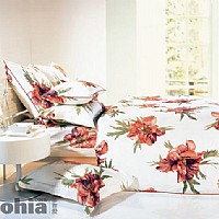 ���ϐۣ��t��