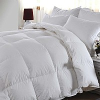 ��Ȼ��q��