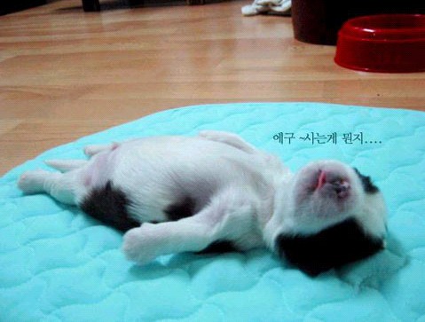 �H�������˯һС�r����