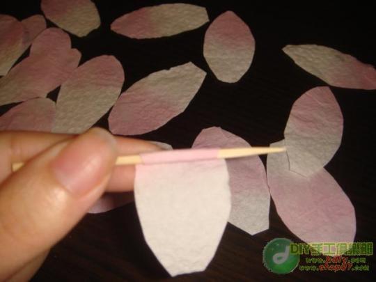 ������õ�廨