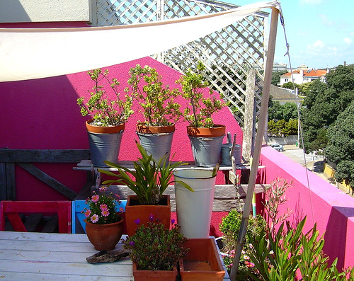 ����:ɫ���L���đ���֮��(��)