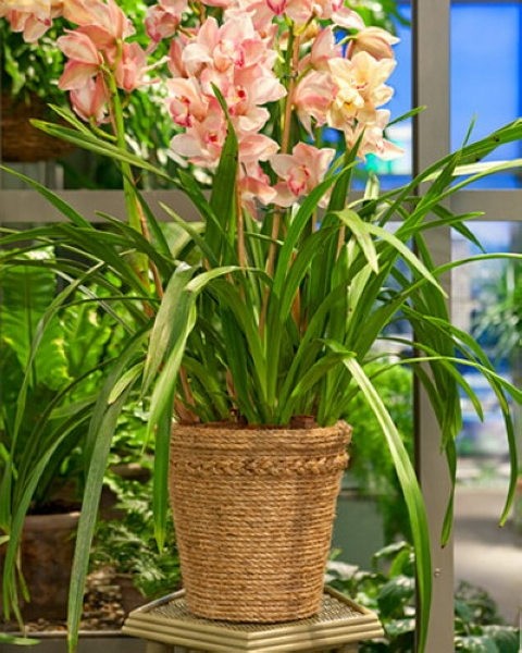 ���b��˼����DIY �K���@����(3)