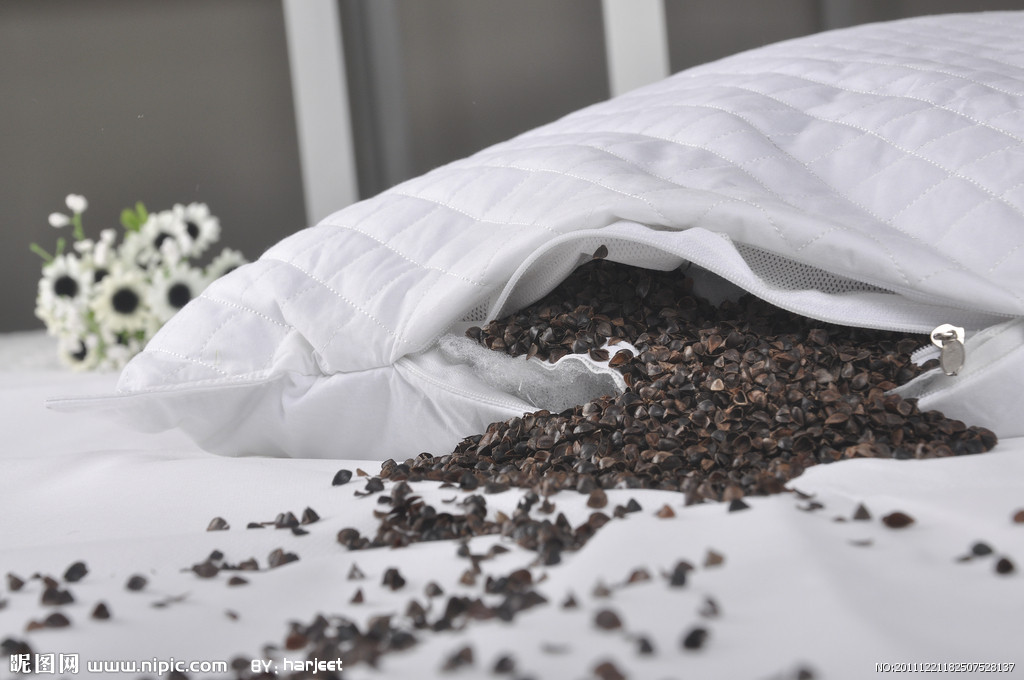 ���������^����x�w����