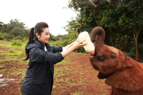 ���������"׃��"�����h�����J�B(y��ng)����