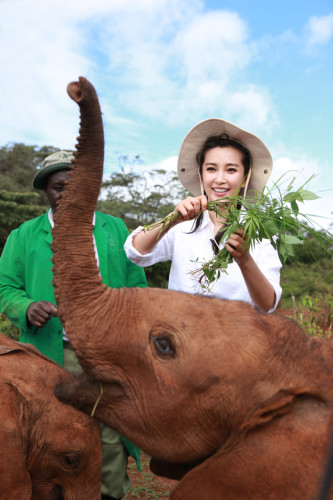 ���������"׃��"�����h�����J�B(y��ng)����