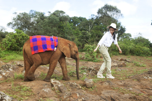 ���������"׃��"�����h�����J�B����