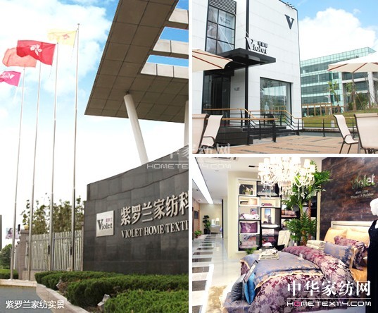 紫羅蘭營(yíng)銷策略 助你制勝終端