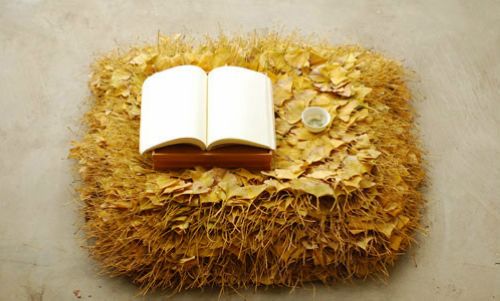 ���������y��ɳ�l