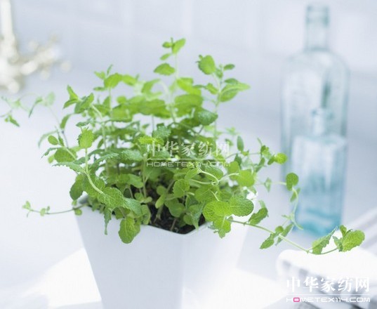 ������Ʒ������ 55���ˮ����ϴ