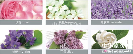 �{Ʒ�����㴲Ʒ ׌�������ζ��