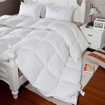 ������x��q��