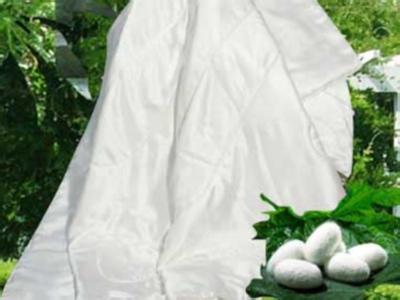 �����Q�z����ԓ��δ��