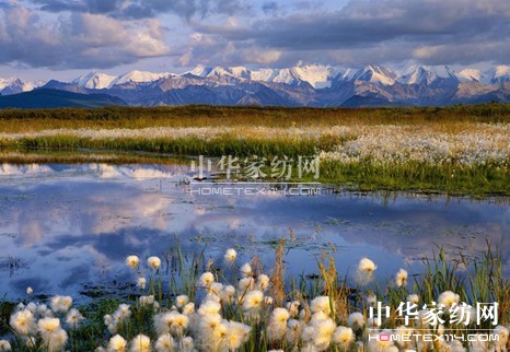 歐派家紡:竹賽絲的神奇功能