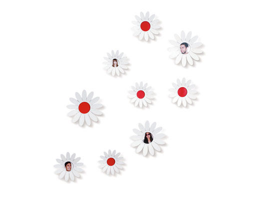 ���⻨�ͼ�Ʒ������|��������