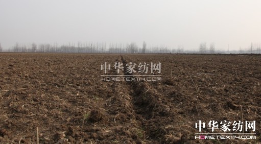 ���ýz�I�f�����Bɣ�@�ƌW��ɣ