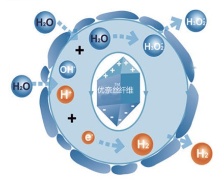 �{Ʒ�Ƽ����νz��Ů�ԼҼ� ���o����