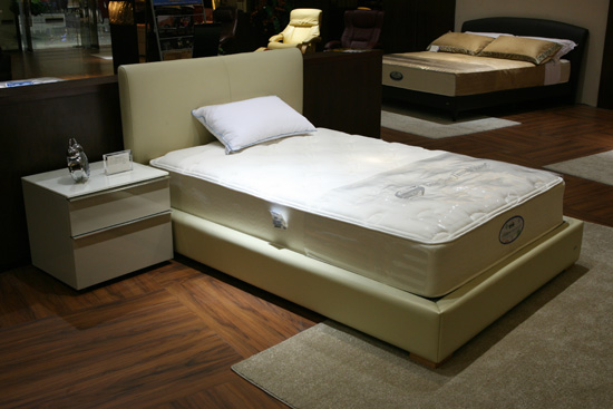 ��֪�����l(shu��)�l(f��)����ϯ��(m��ng)˼�᣿