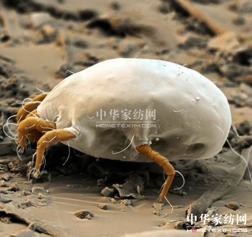 �ļ����ɺ�ҕ�����xΣ��