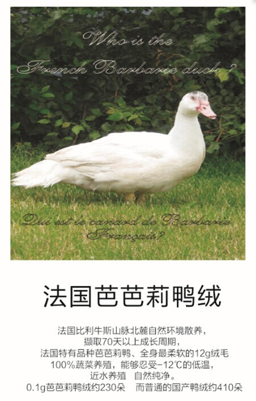 Ʒ�|(zh��)58��������Ҽ��cȫ��ۼ���һͬ����