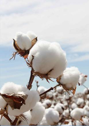 �W�ɼҼ��������ޣ��ۼ���һ�ӵğ��