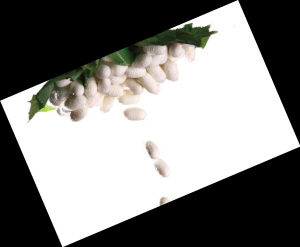 �Q�z���q�r������]�ך���