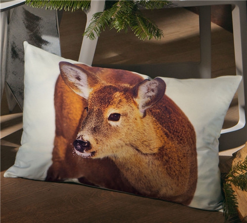 ���r�мҼ�Ʒ��ʥ�Q��Ԫ�ؿ��|�������C����