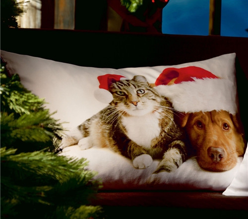 ���r�мҼ�Ʒ��ʥ�Q��(ji��)Ԫ�ؿ��|�������C����