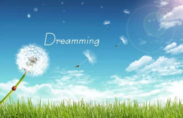 美羅家紡2015品牌推介會(huì)圓滿落幕