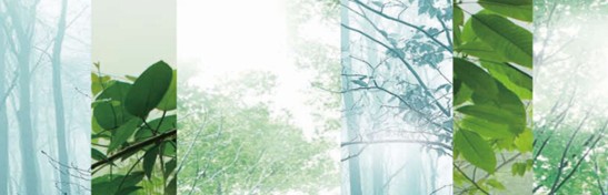 ����˯�ߣ�ه��Violet���C(j��)�Ҽ�