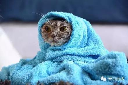 ��ԡ���ë�����Ԍ�����ë��Ҳ�����v����