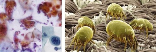 �ܽ^���f���x�����x���_�m���C�Ҽ�