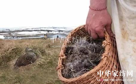 ���⣡27�f�I�²���Ҽ�"����"��"����"��