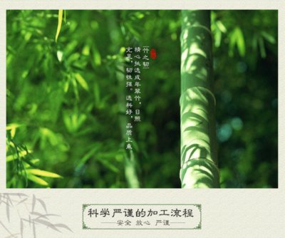好“席”登場(chǎng) 水星家紡讓大家在這個(gè)夏天“竹”抱清泉