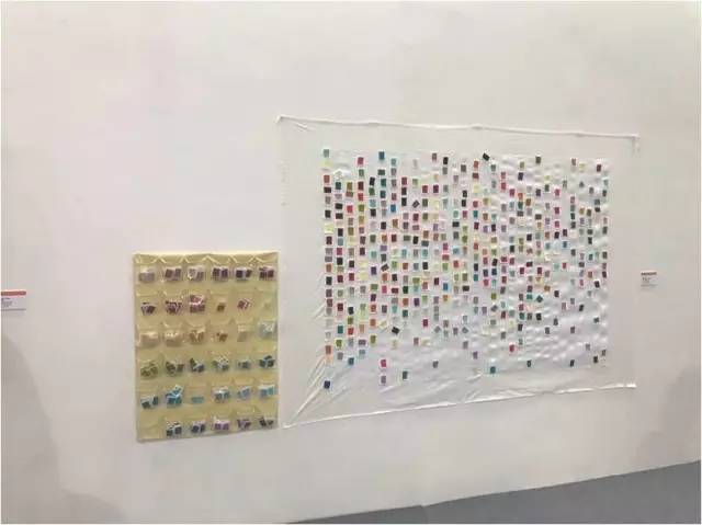 ����ҒҒ�c�c�εΡ���2017�Ї����H�w�Sˇ�g(sh��)չ�ġ�ۙ�E�����ˌ�ζ