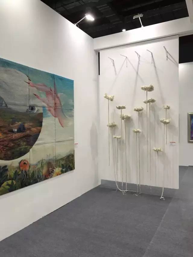 ����ҒҒ�c�c�εΡ���2017�Ї����H�w�Sˇ�g(sh��)չ�ġ�ۙ�E�����ˌ�ζ