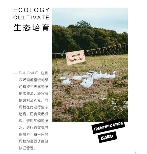 ����Ҽ����m�����q���¾��p�����