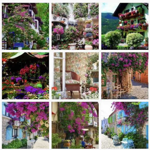 С�[�T��������D����Ȧ�����cҪ�󲻿��٣�������ƽ