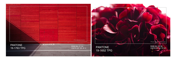 �Ї�����ɫ�f���l�������Ҿ�����ɫ������ɫ������t