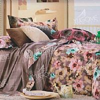 ����ӡ��