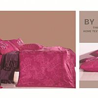 ��������-õ�t