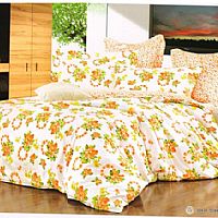 С�~���㣨С����