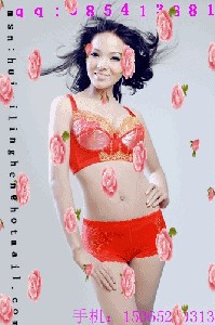 ���w�S�����������b